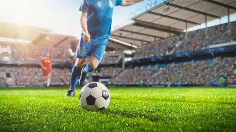 O Melhor Guia para Apostas Esportivas e Declaração de Impostos